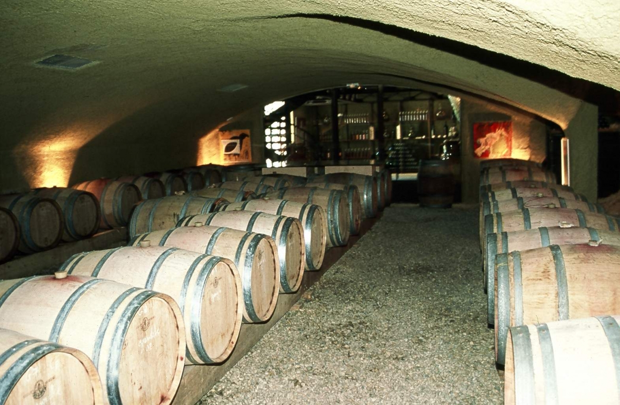 chais de vinification AOC Luberon