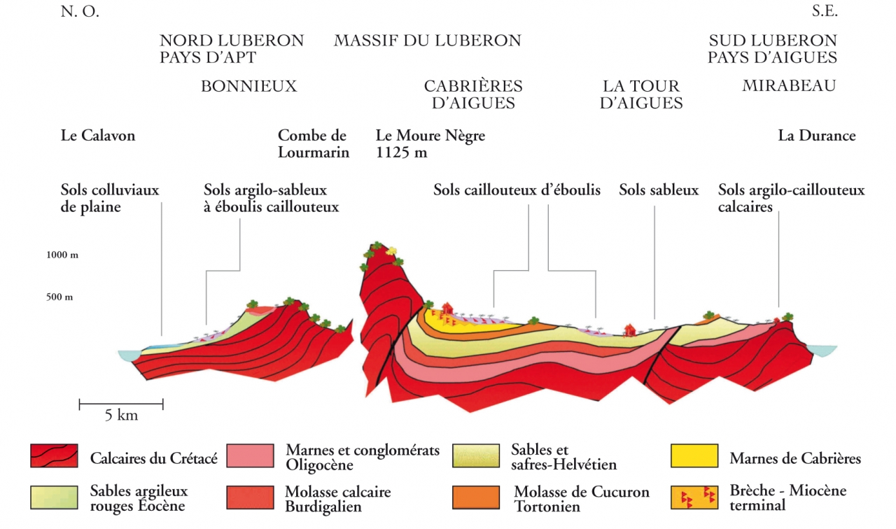 Coupe géologique de l'AOC Luberon