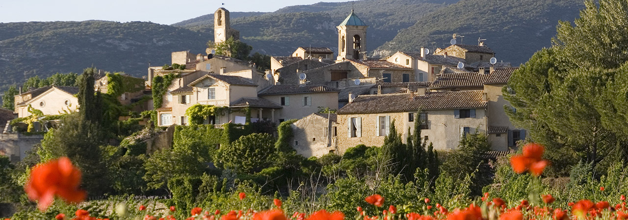 Experience the Luberon, wines & light lands
