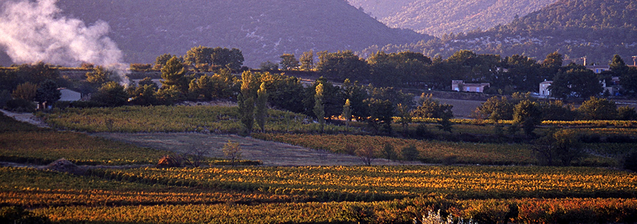 AOC Luberon, in harmony with Nature