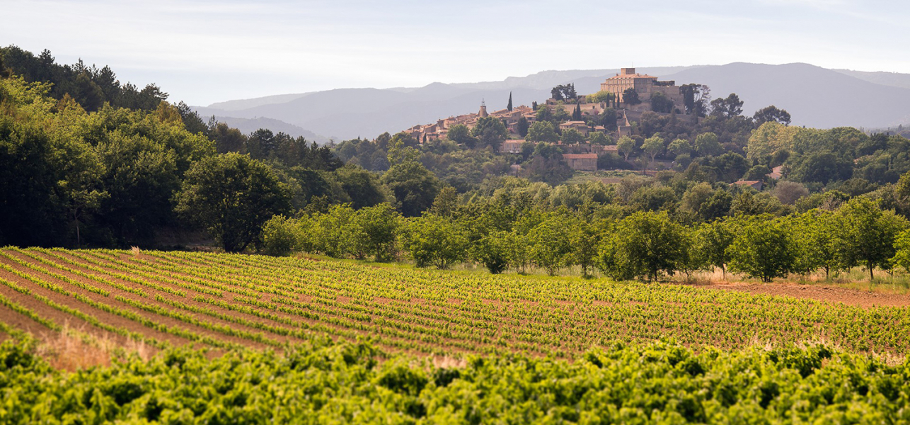 Vivez le Luberon, terre de vins et de lumière