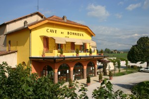 Cave de Bonnieux