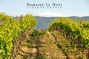 Domaine le Novi