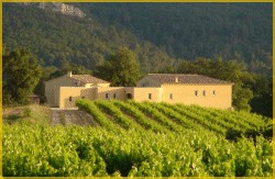 Domaine le Puy des Arts