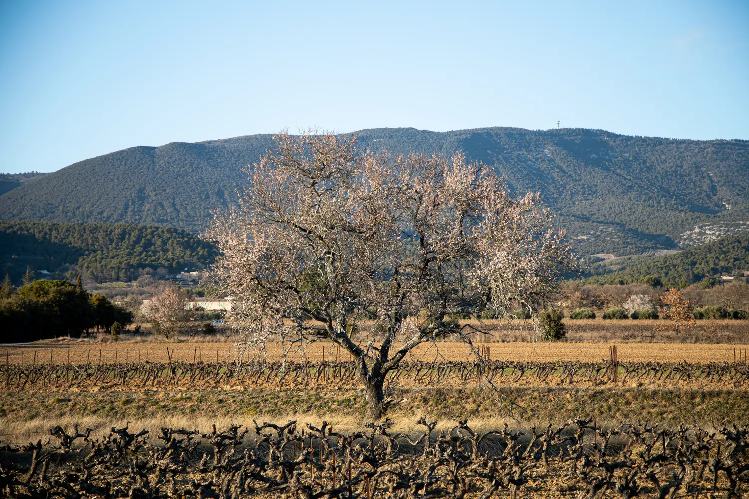 Préserver la nature