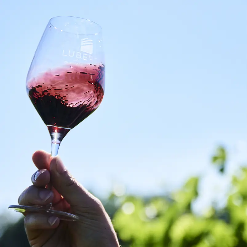 Nos vins Rouges
