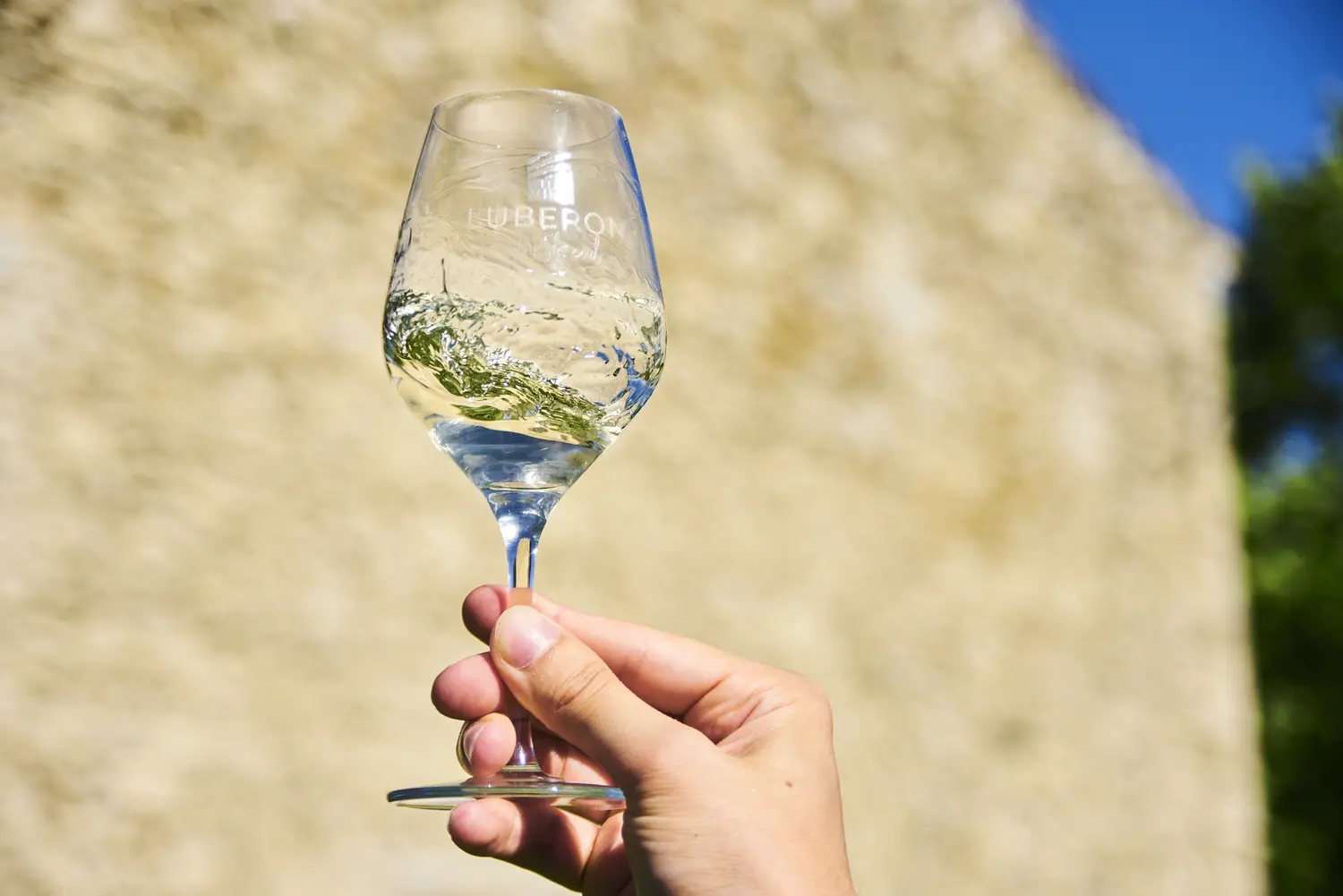 Dégustez nos vins blancs